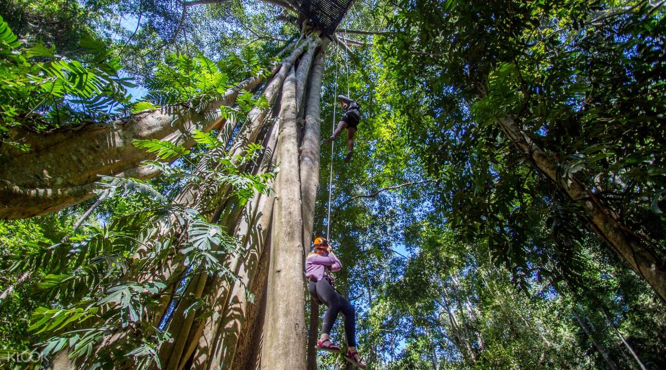 重庆丛林飞索价格表
