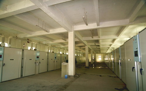 合肥附近小鸡孵化厂厂