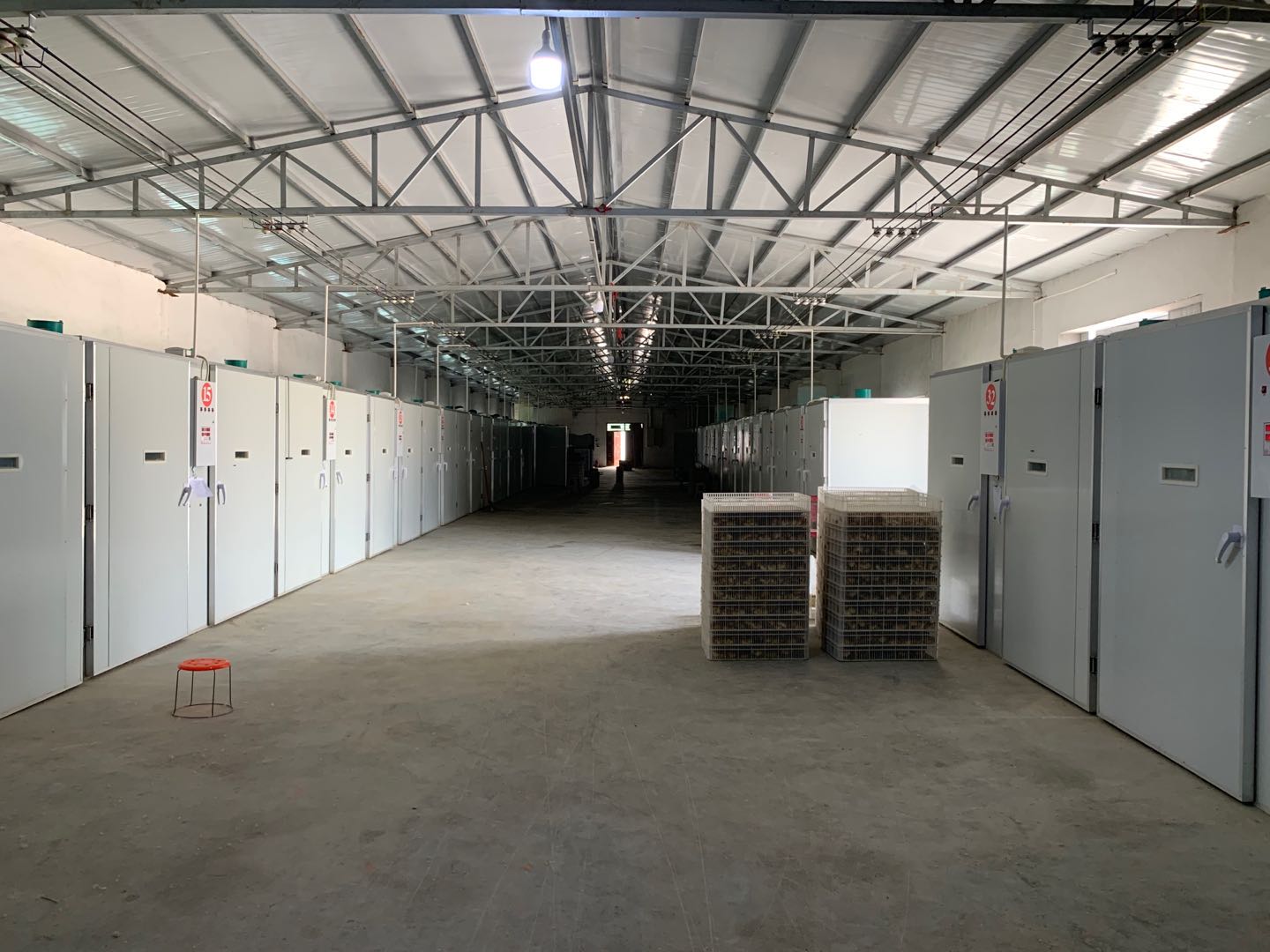 江苏大型孵化厂位置