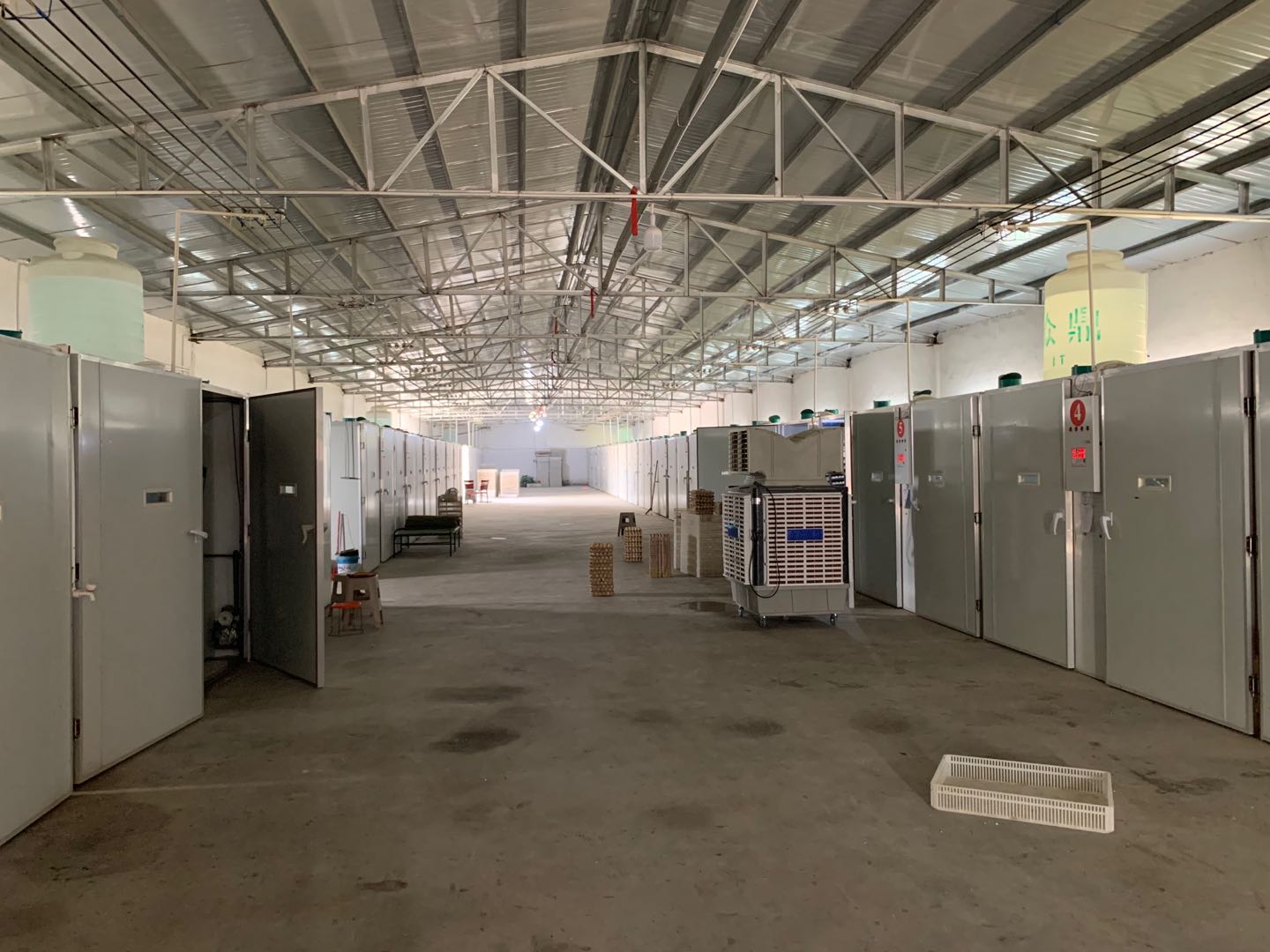 昆明优质家禽孵化厂厂家直销