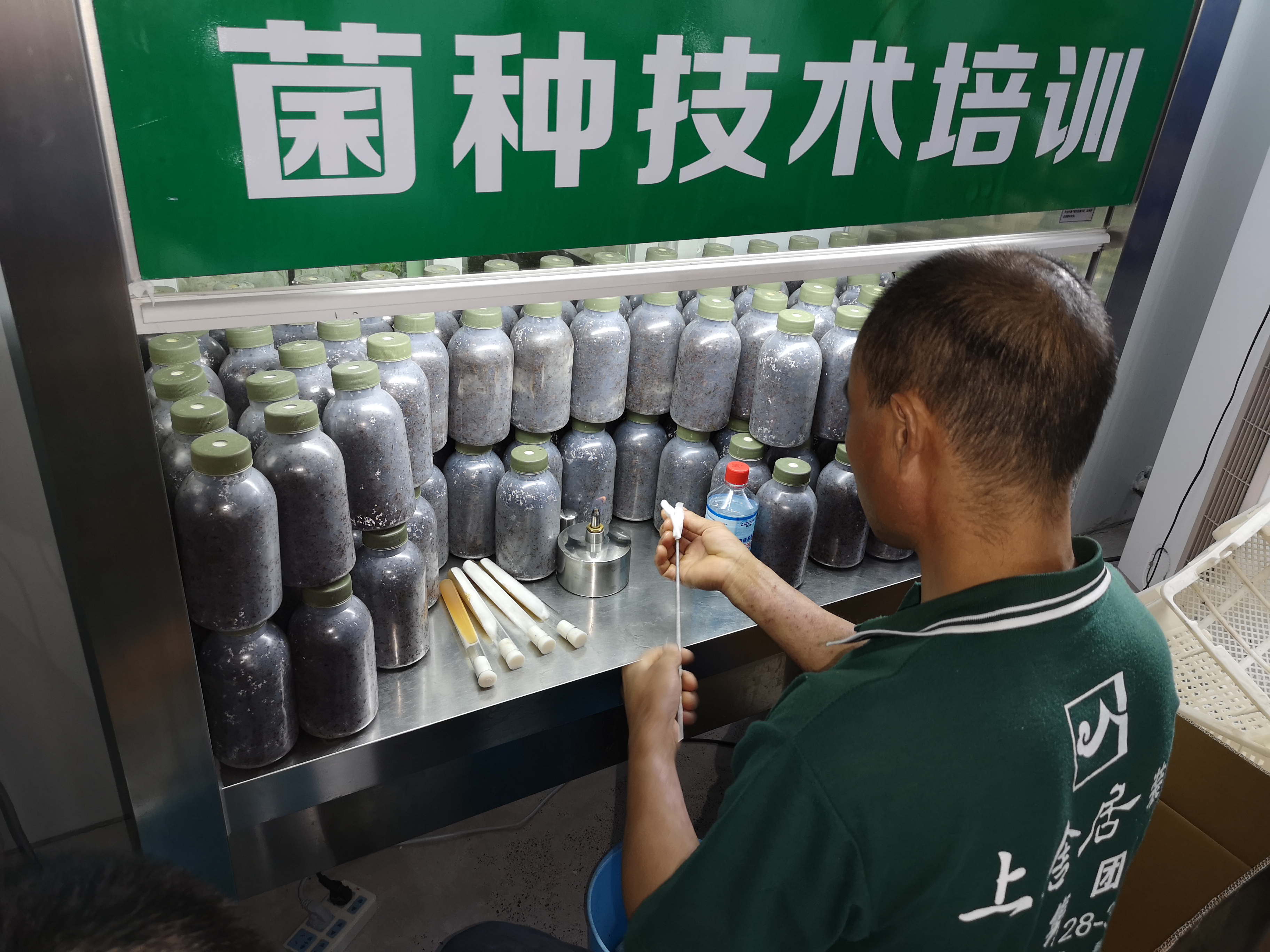 天津茶树菇种植培训学校-春雨食用菌研究所-企业信息发布