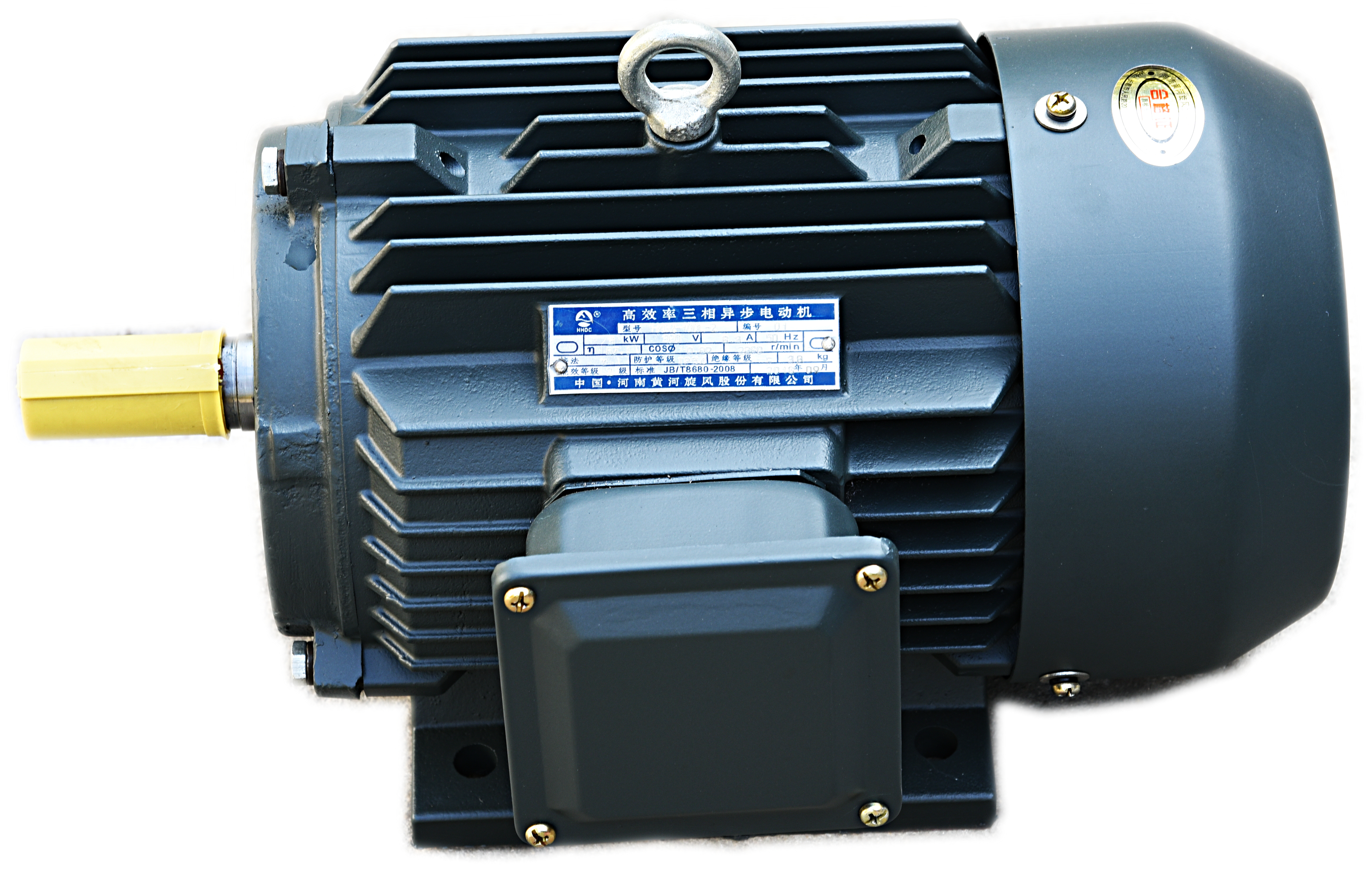 沈阳高效鼠笼型电动机多少钱