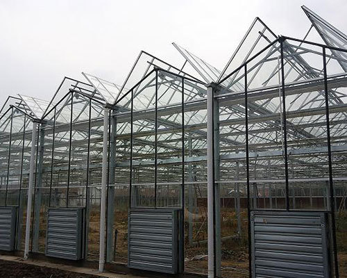 赤城大棚钢管厂房造价