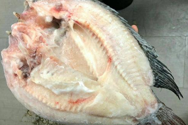 德兴出售开背鱼供应商,开背鱼厂家