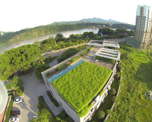 高安屋顶铺地锦竹草设计屋顶绿化电话