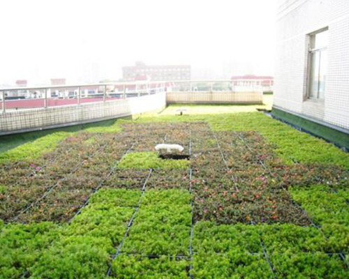 AC米兰官网-郑州房地产资讯_郑州房地产新闻-郑州房天下