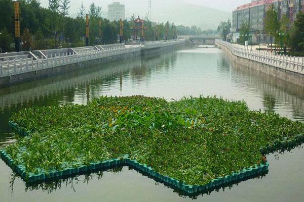 山西海上人工浮岛种植